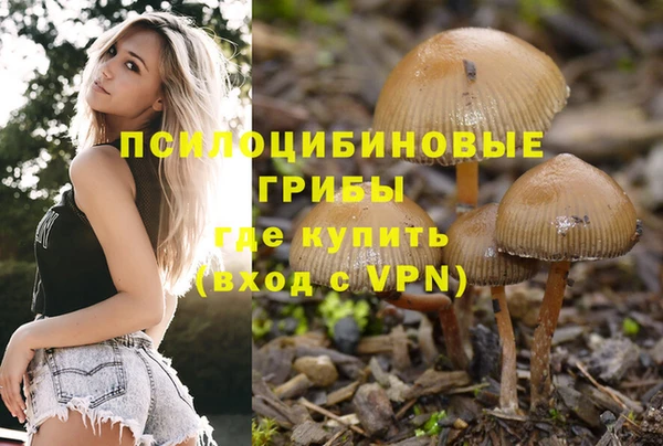 круглые Арсеньев