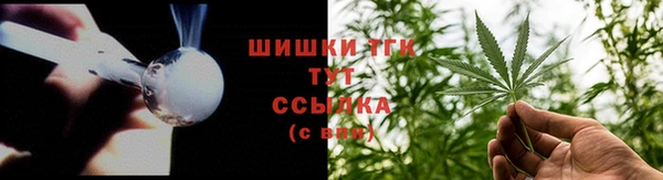 ГАЛЛЮЦИНОГЕННЫЕ ГРИБЫ Аркадак