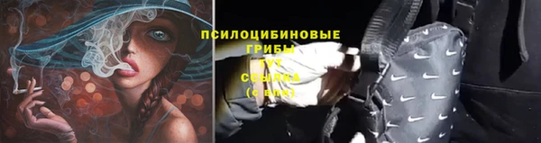 ГАЛЛЮЦИНОГЕННЫЕ ГРИБЫ Аркадак
