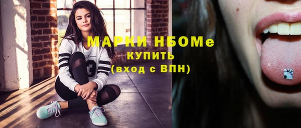 ГАЛЛЮЦИНОГЕННЫЕ ГРИБЫ Аркадак