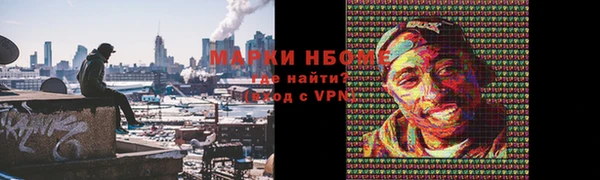 ГАЛЛЮЦИНОГЕННЫЕ ГРИБЫ Аркадак