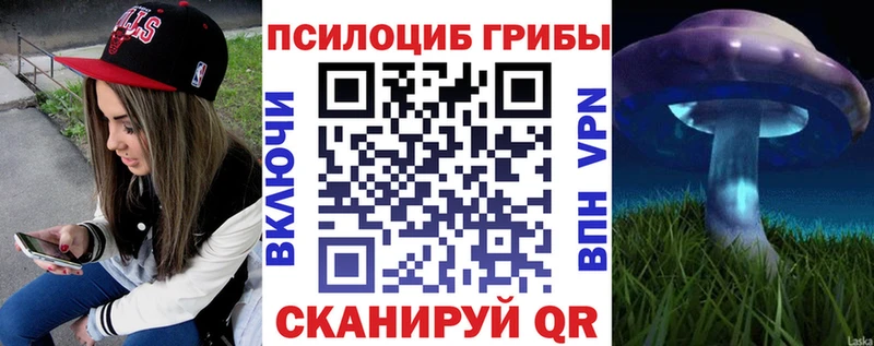 Галлюциногенные грибы Cubensis  хочу   Урюпинск 